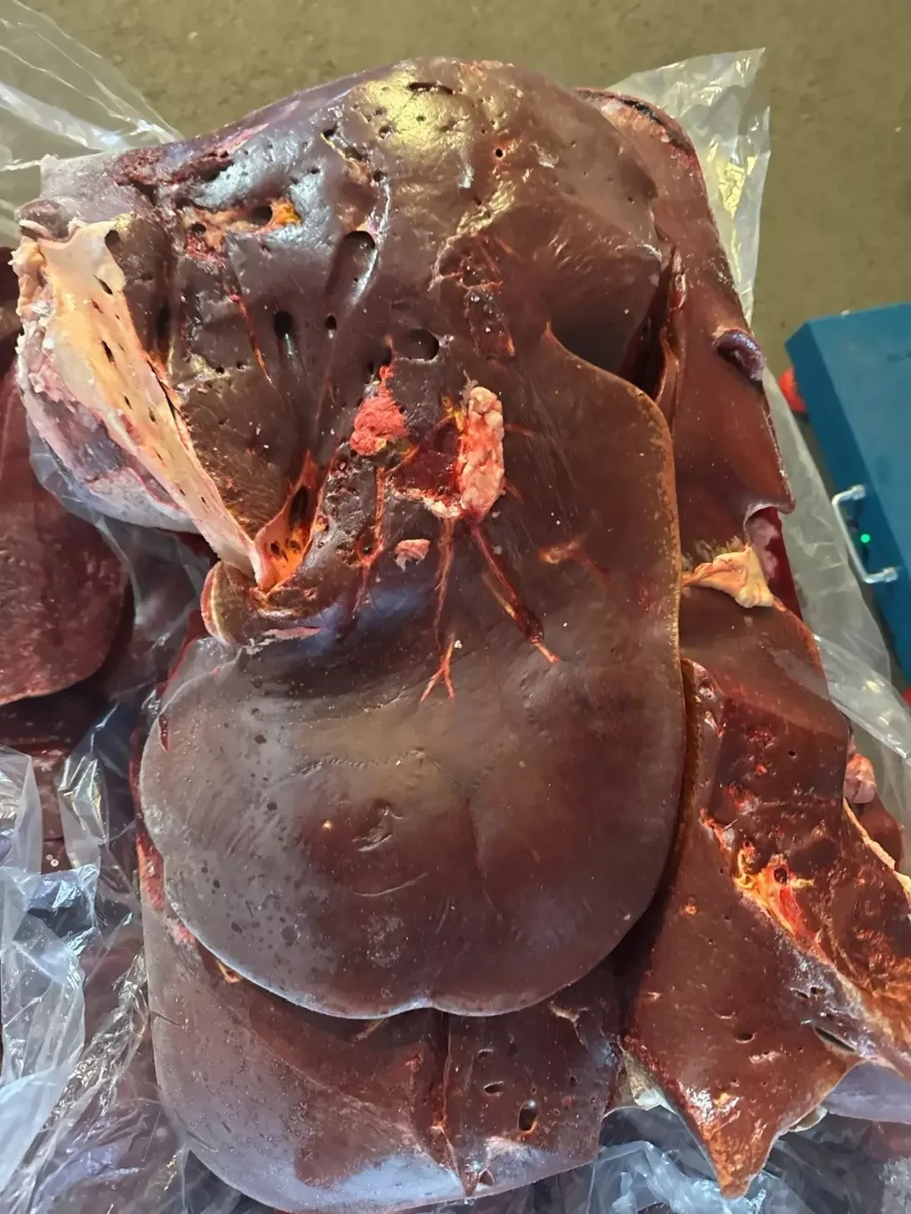 Фотография продукта Печень говяжья 2 сорт