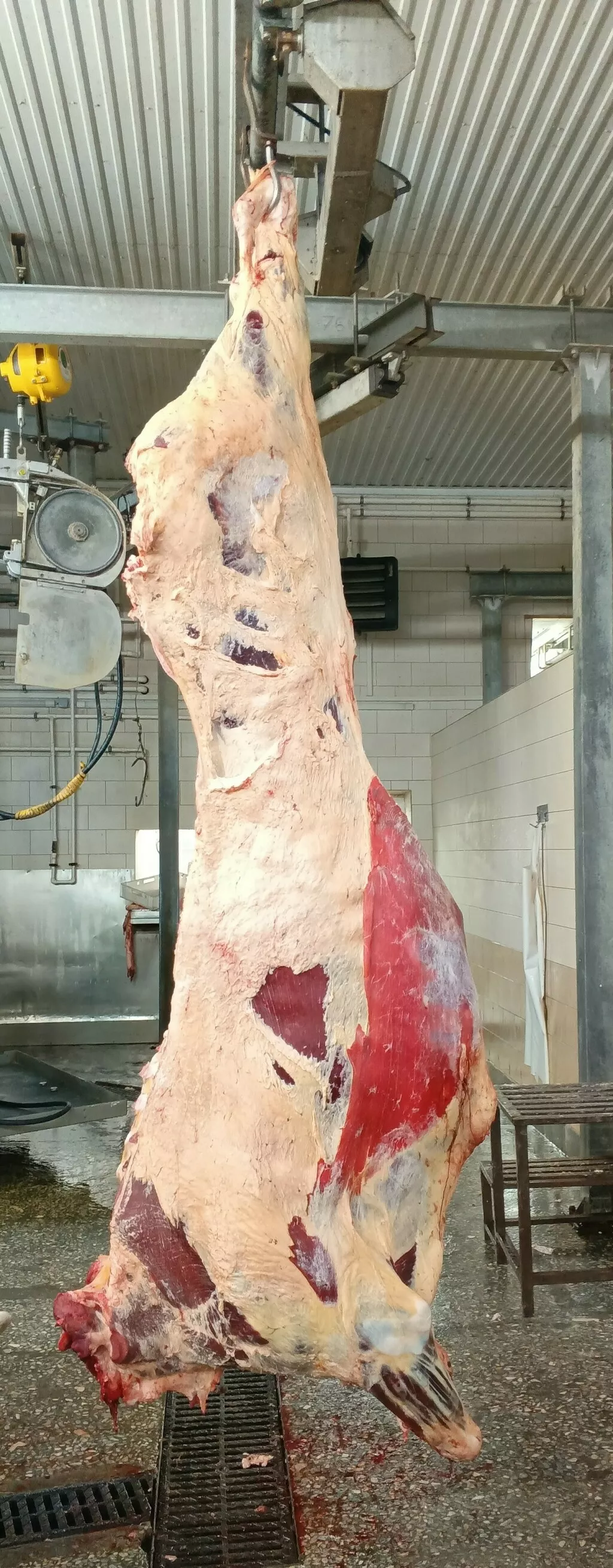 фотография продукта Мясо. говядина в тушах, полутушах