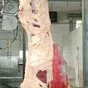 мясо. говядина в тушах, полутушах в Пензе и Пензенской области