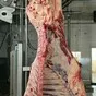 мясо. говядина в тушах, полутушах в Пензе и Пензенской области 2