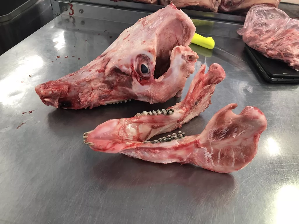 Фотография продукта Кость свиная после обвалки