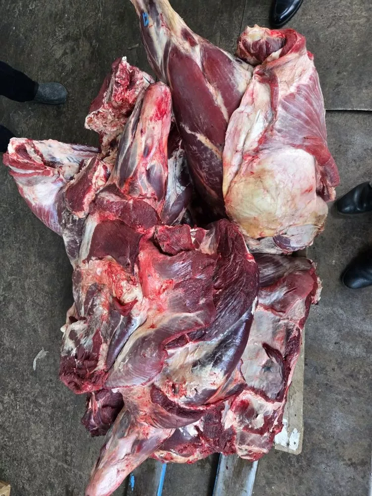 фотография продукта Быки четверти.заморозка. 