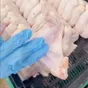 крыло куриное оптом от производителя в Москве 3