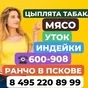 мясо. тушки.утки.индейки.цыплята табака в Пскове и Псковской области
