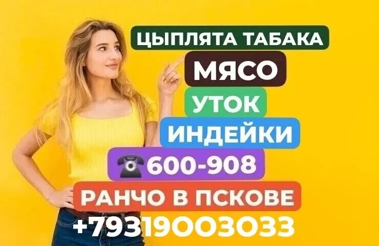 фотография продукта Мясо. тушки.утки.индейки.цыплята табака