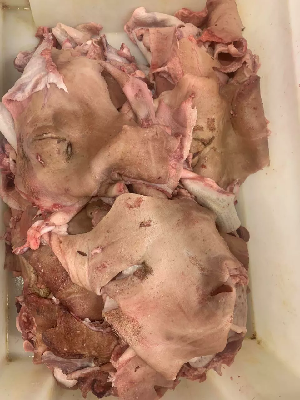 Фотография продукта Шкура свиная с голов 