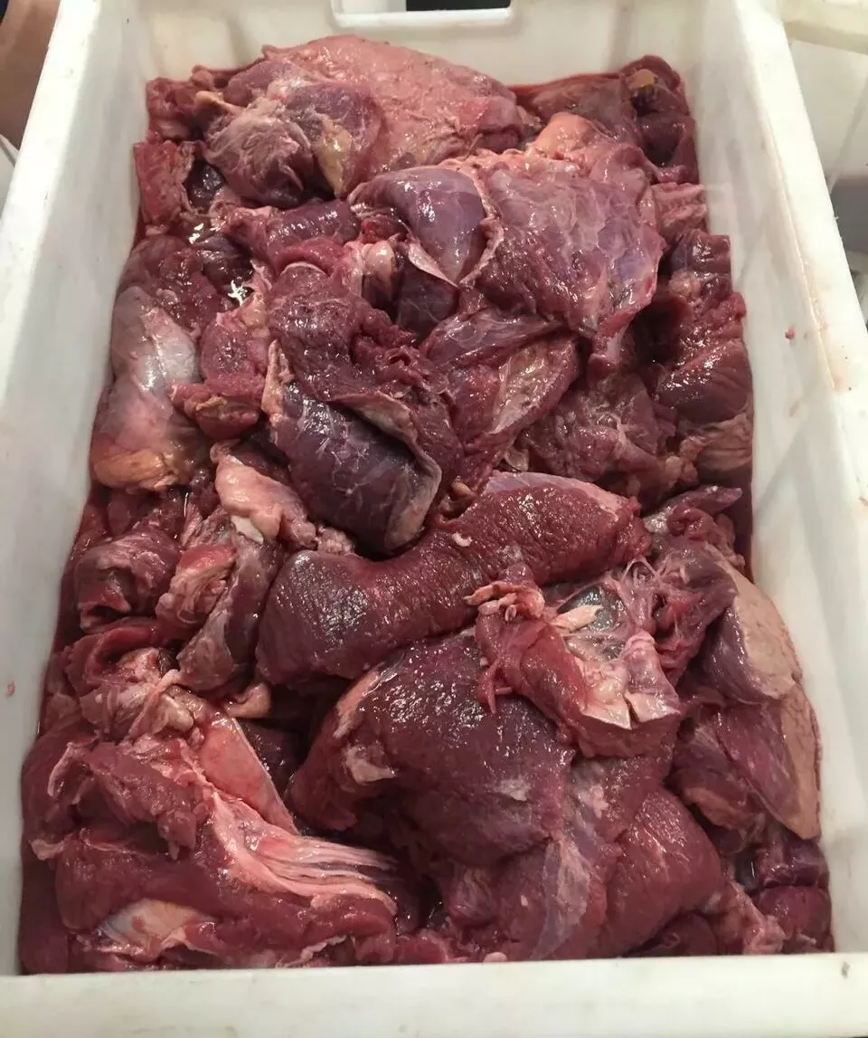 Фотография продукта Говядина односортная 86/14 