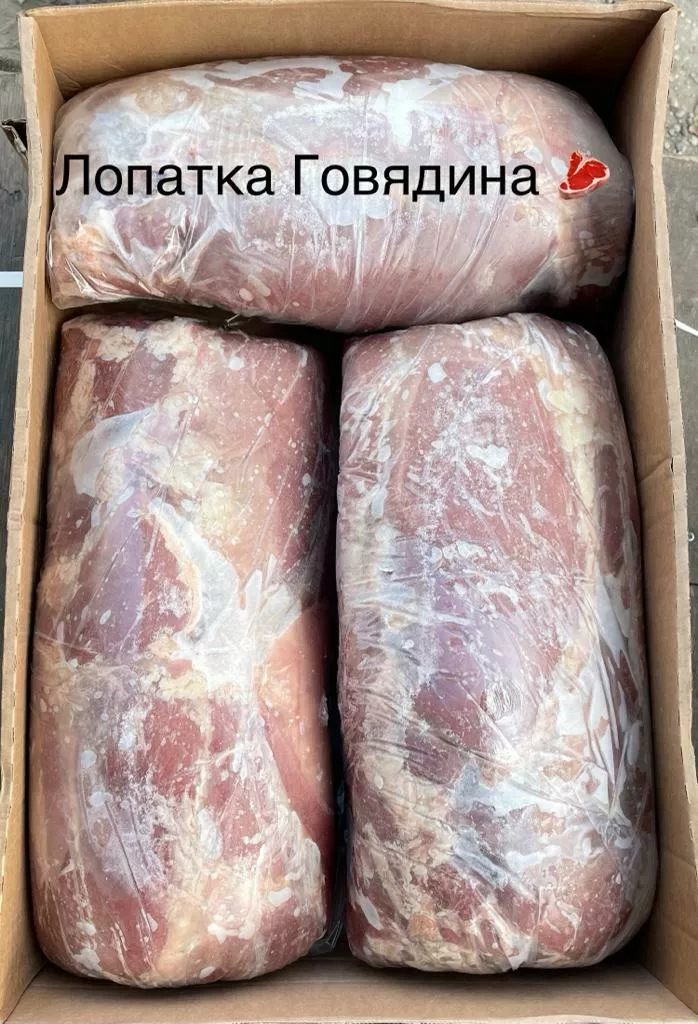 фотография продукта Лопатка 