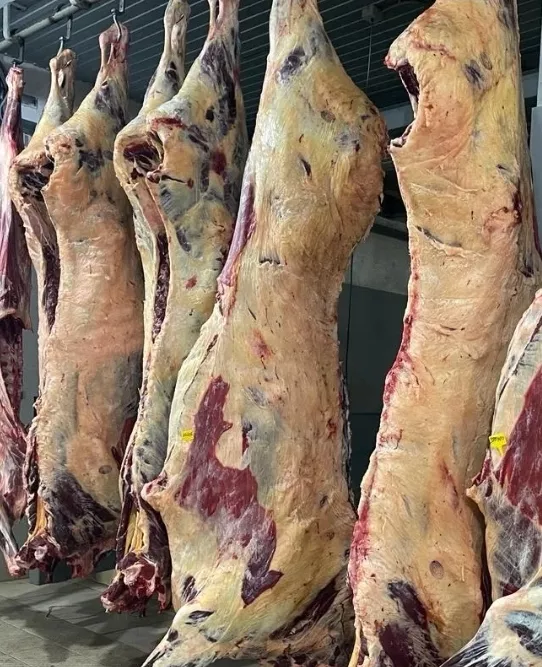 Фотография продукта Говядина туши, полутуши
