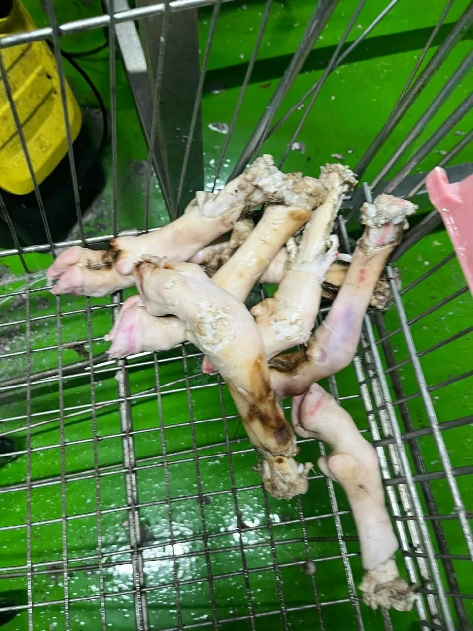 Фотография продукта Ноги бараньи