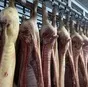 свинина 1-2 категория от производителя в Нижнем Новгороде и Нижегородской области 6