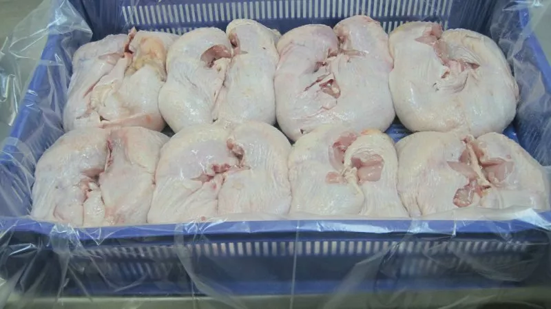 фотография продукта Цыпленок бескостный (шаурма)