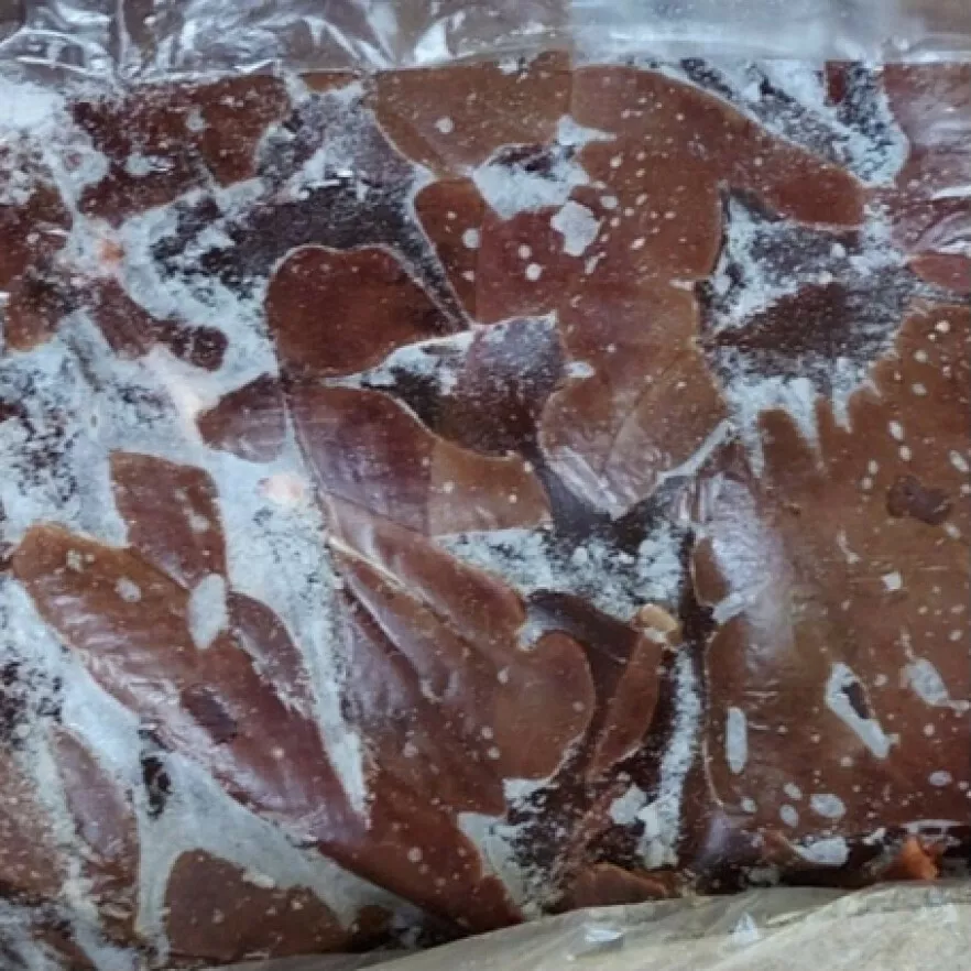 фотография продукта Печень свиная ( св ) пищевая и промка пп