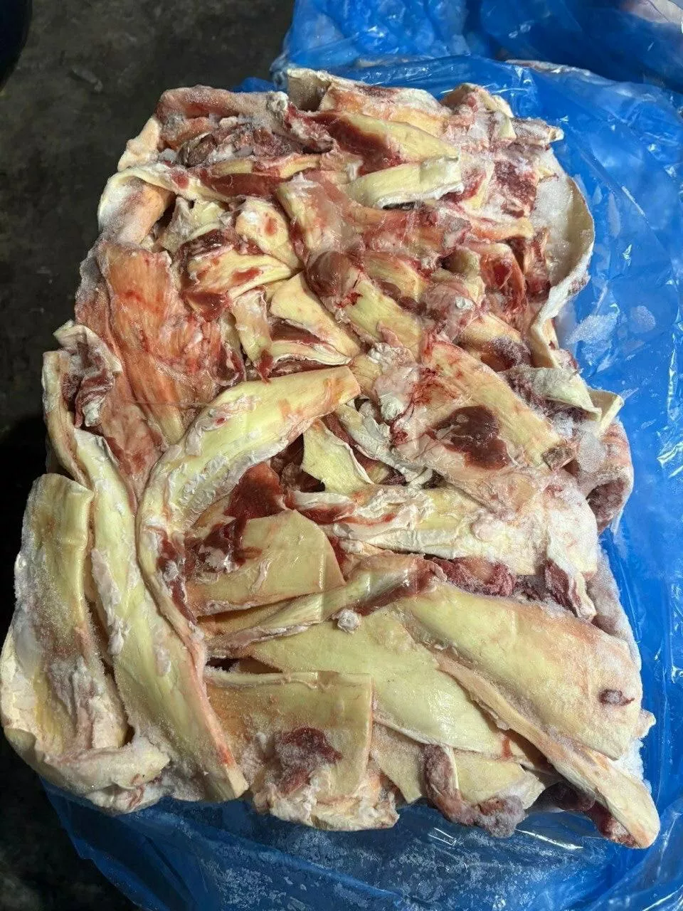 Фотография продукта Жилка становая отличного качества