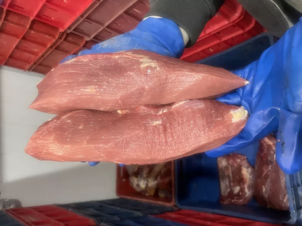 Фотография продукта Глазной мускул,. зам.