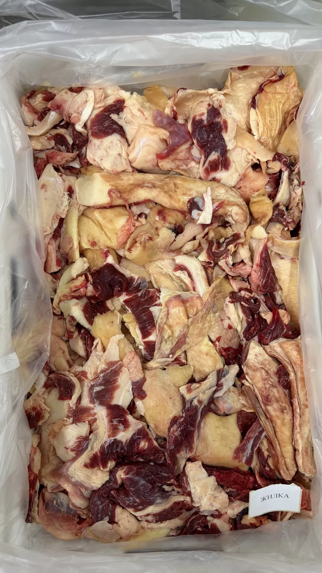 фотография продукта Жилка говяжья