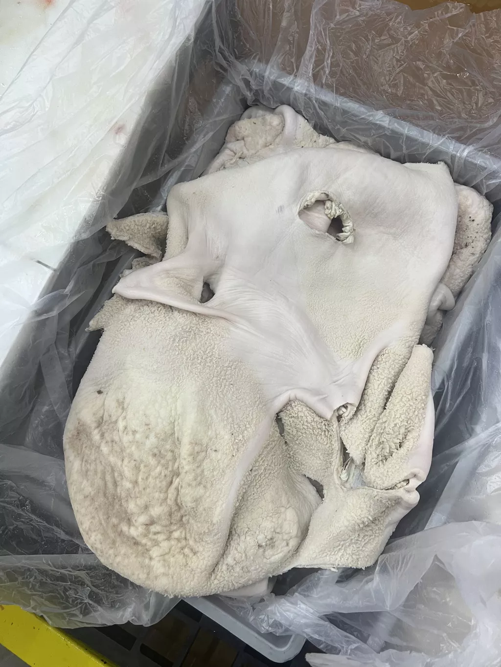 фотография продукта Говяжьи легкое, рубец, уши, губы, нос