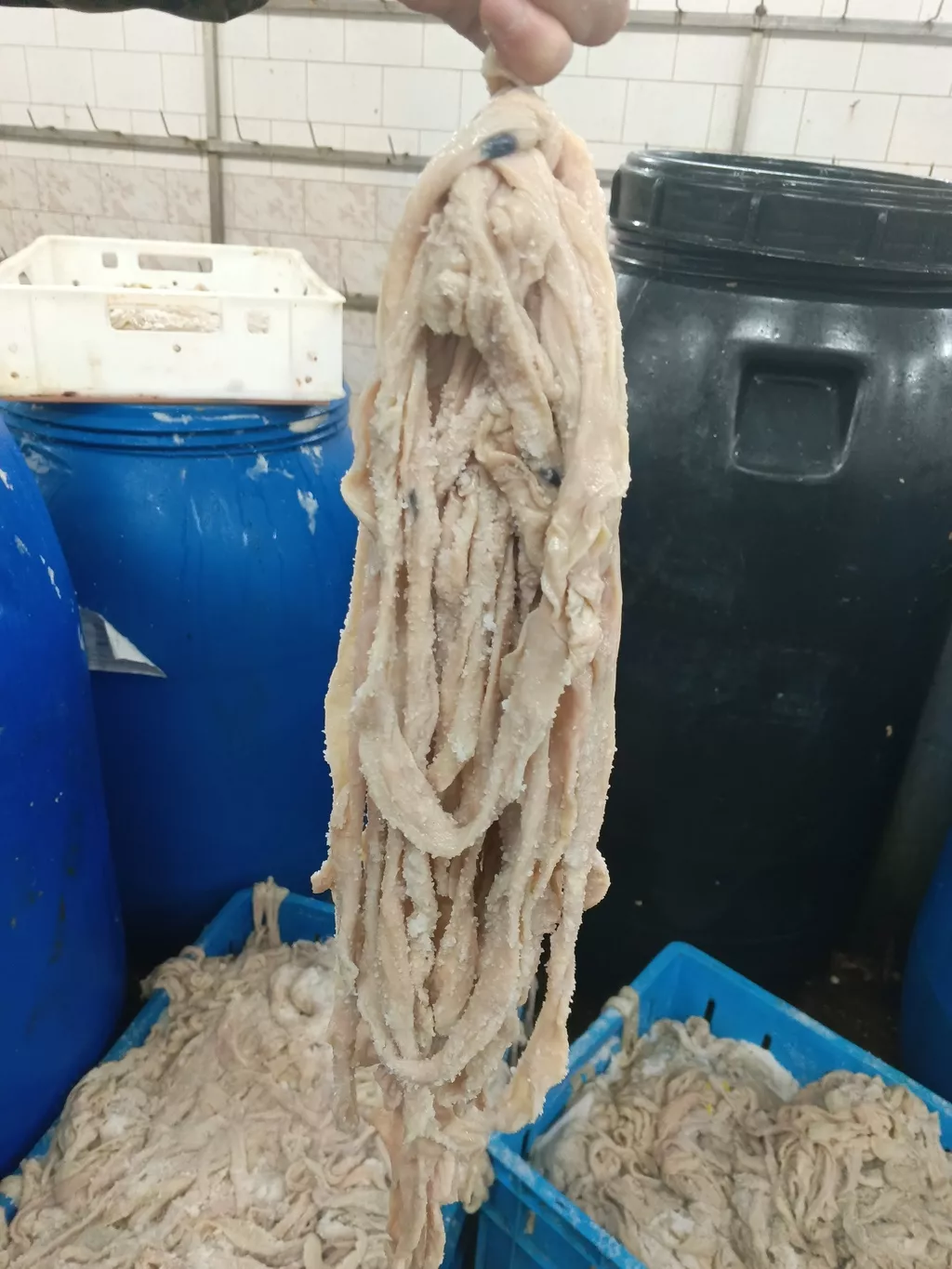 Фотография продукта Черева говяжья халяль