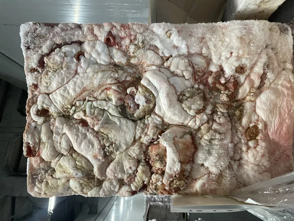 фотография продукта Жир кишечный говяжий