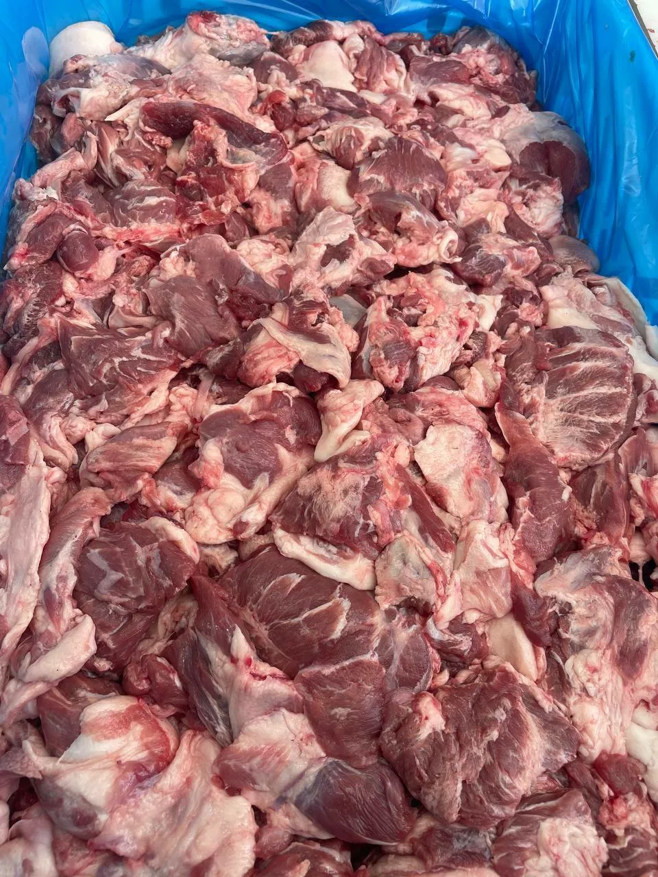 фотография продукта Тримминг свиной головной 