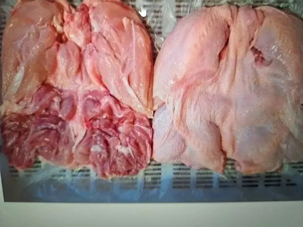 Фотография продукта Шаурма ЦБ