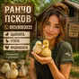 цыплята,утята,индюшата,яйцоинкубационное в Пскове и Псковской области 3