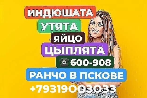 Фотография продукта Цыплята,утята,индюшата,яйцоинкубационное