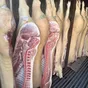 мясо свинины в полутушах охл, зам в Челябинске и Челябинской области 3