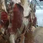туши говядины в Ярославле и Ярославской области 3