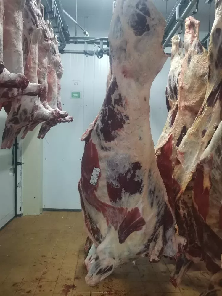 Фотография продукта Туши говядины