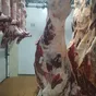 туши говядины в Ярославле и Ярославской области