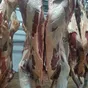 туши говядины в Ярославле и Ярославской области 2