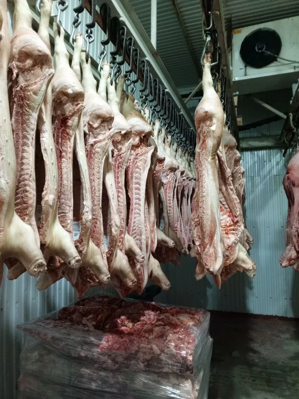 фотография продукта Подсвинки полутуши