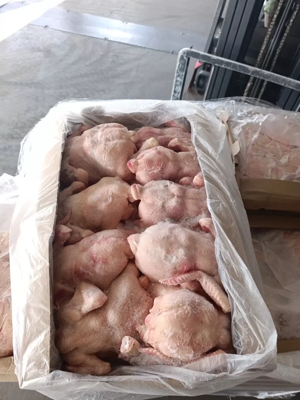 фотография продукта Тушка ЦБ для жарки