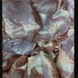 мясо индейки, филе в Пензе и Пензенской области 4