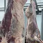 туши, полутуши быки,телки, корова 1 кат. в Москве
