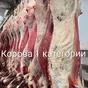 туши, полутуши быки,телки, корова 1 кат. в Москве 2