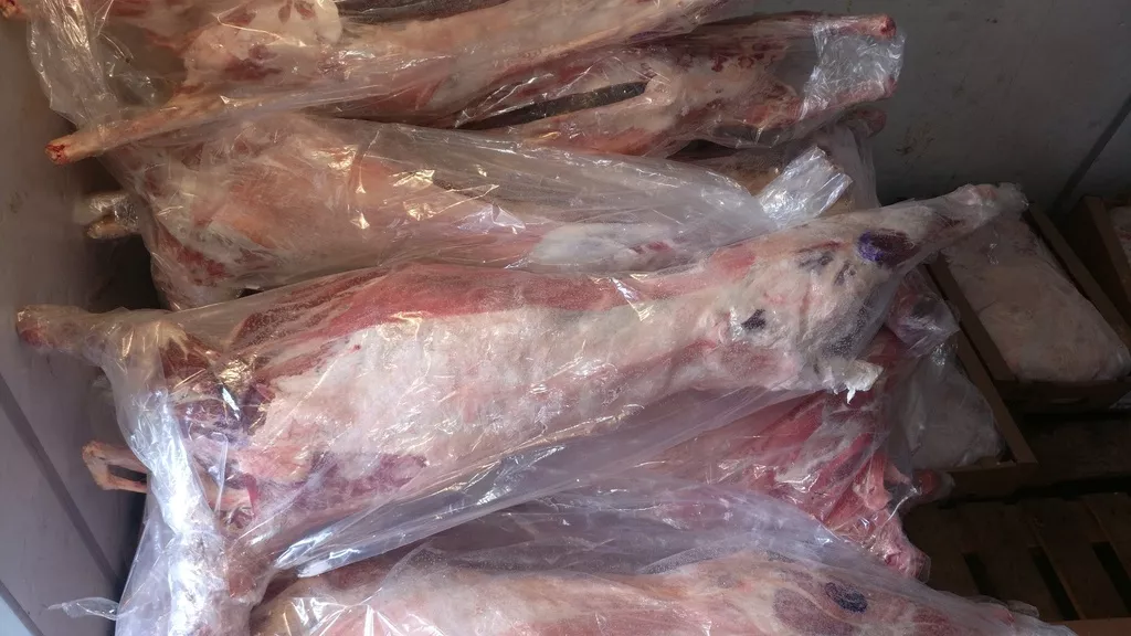 фотография продукта Баранина тушки 
