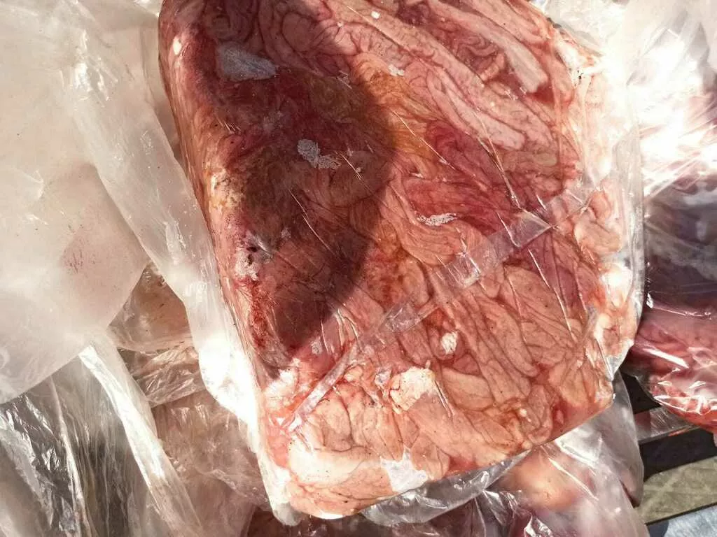 фотография продукта Продаем кишки свиные