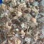 обрезь говяжью аргентина (13...  в Санкт-Петербурге 7