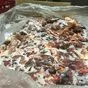 жилованная говядина 70/30 в Севастополе