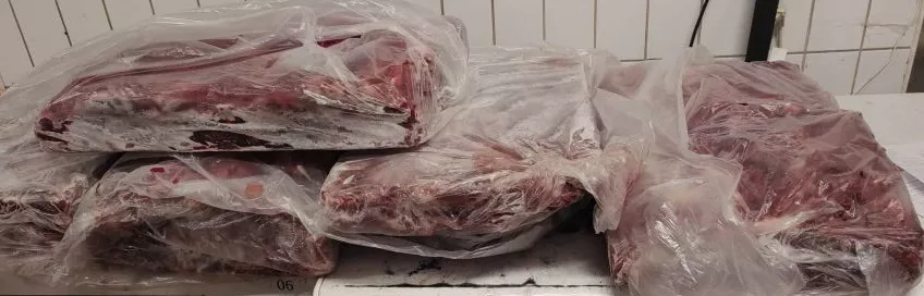 фотография продукта Пашина гов. зам.