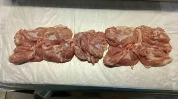 фотография продукта Бедро б/к, с кожей (шаурма) оптом