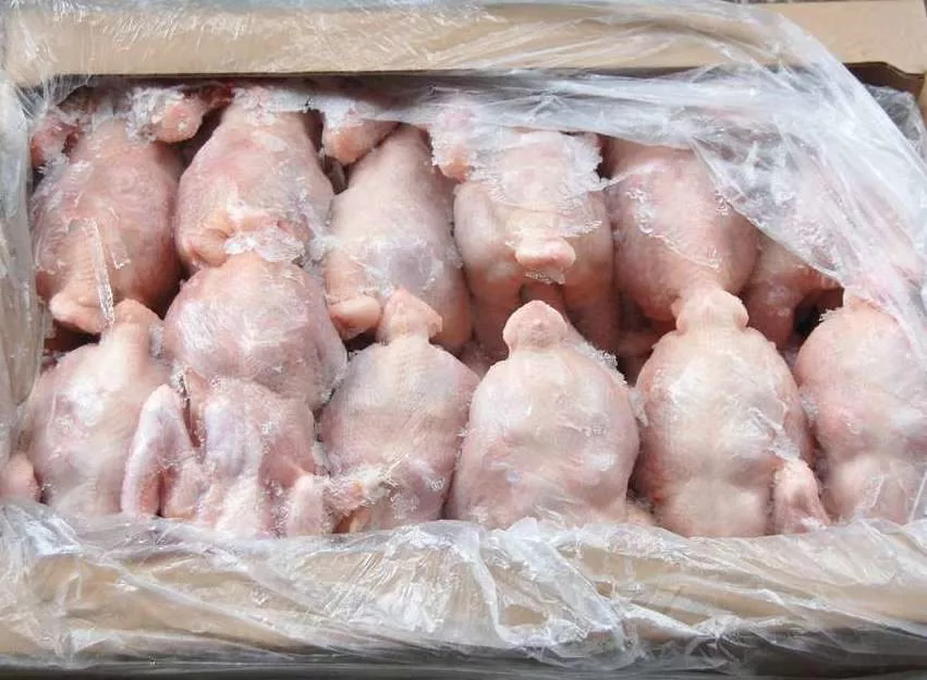 Фотография продукта Тушка 1 сорт заморозка