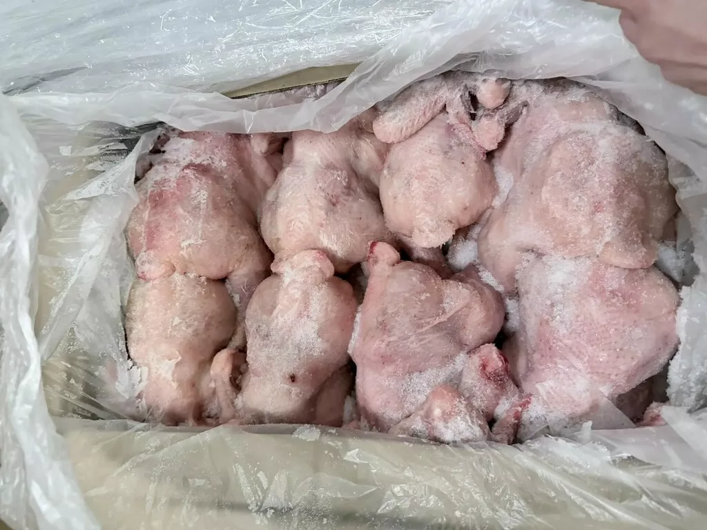 Фотография продукта Тушка ЦБ 2 сорт заморозка