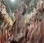 телята  в Ижевске и Удмуртской республике