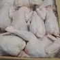 тушка несушки в Краснодаре