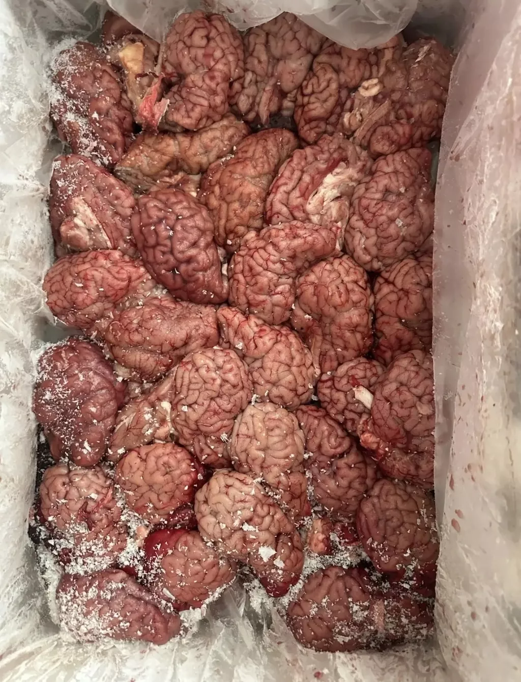 фотография продукта Мозги говяжьи замороженные
