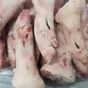 ноги св. задние. компартмент 3ий. в Саратове 2
