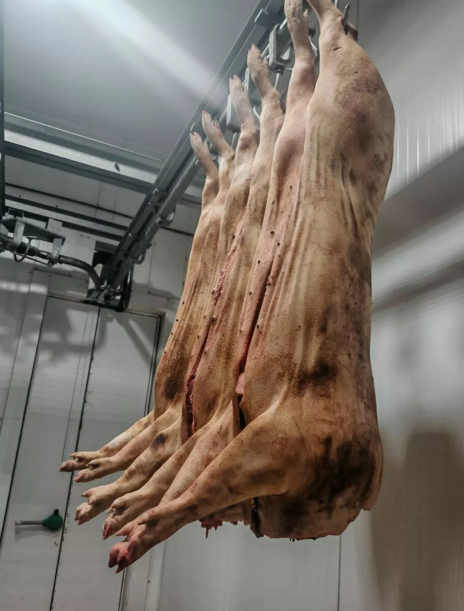 фотография продукта Свинина полутуши двойной опал